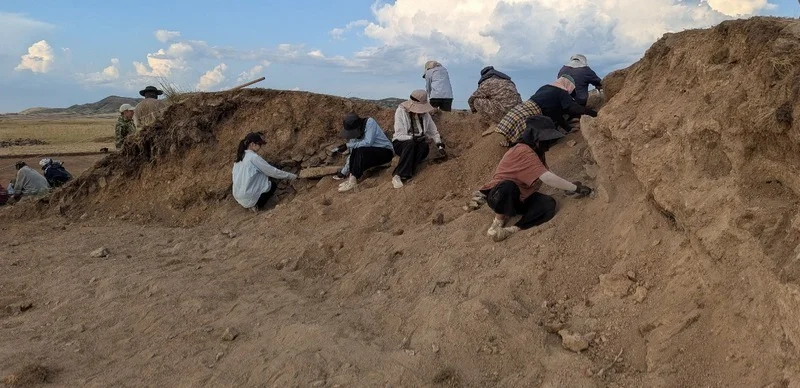 Аққұбалардың каммингінің эротикалық фотосуреттері