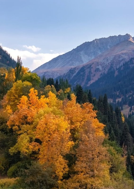 Autumn in the Almaty mountains: A symphony of colors and light