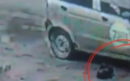 Абай облысында ер адам жануарларға қатыгездікпен қарағаны үшін жауапкершілікке тартылды