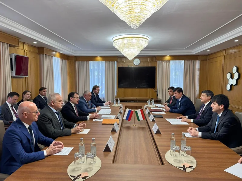 Tajikistan, Rosatom mull over cooperation prospects