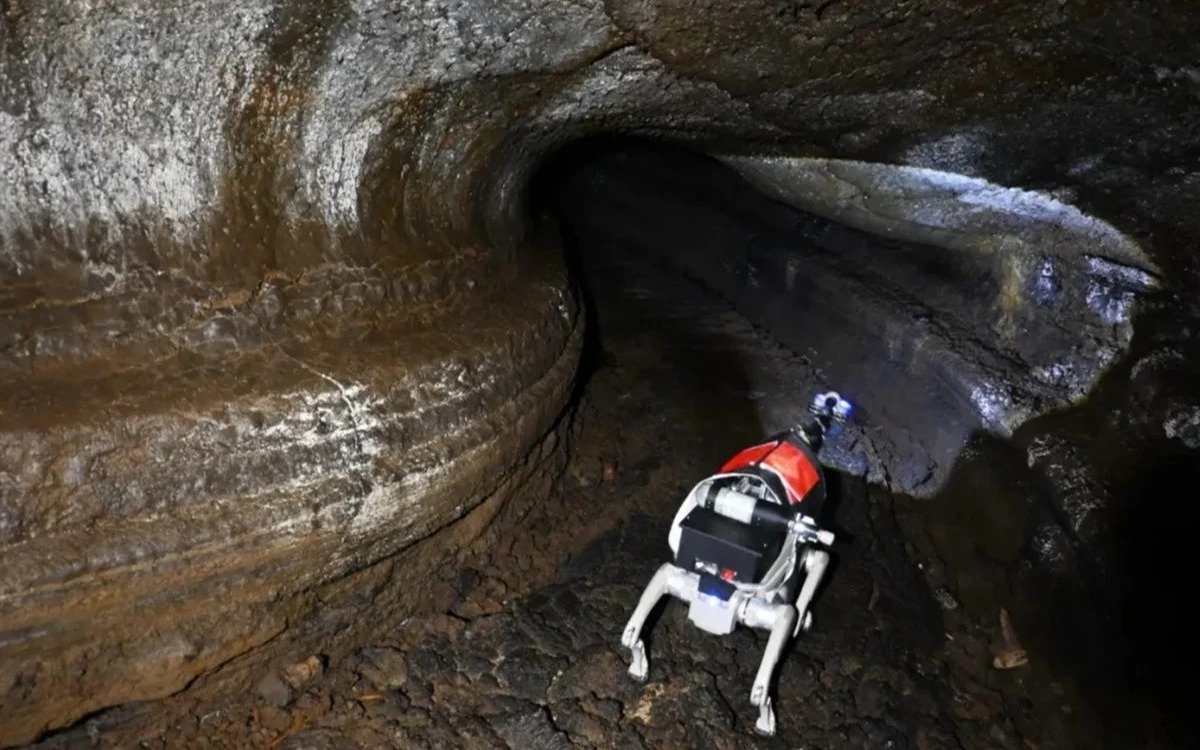 Түрмедегі порно оргия