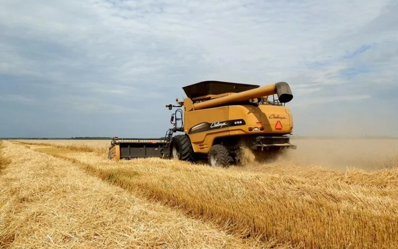 Хлебоприемные предприятия в Казахстане наказали за завышение тарифов в выходные 
