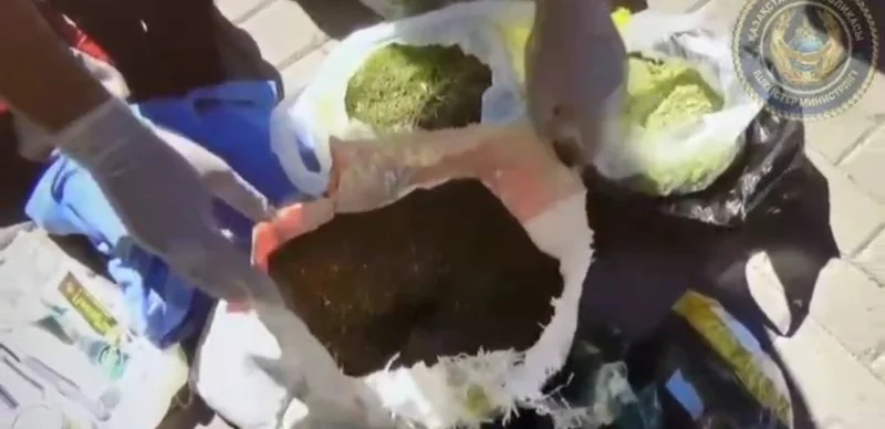 Qaraǵandylyq zeınetkerden 20 keli marıhýana men gashısh tárkilendi
