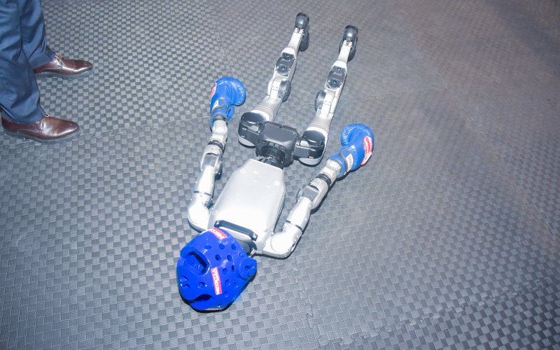 Robots, boxing, technology