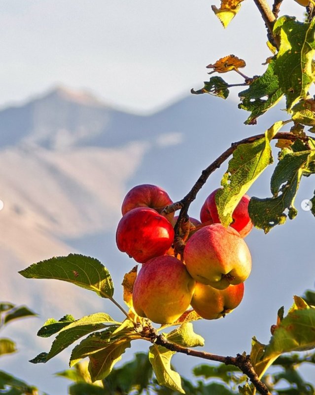 Autumn in the Almaty mountains: A symphony of colors and light