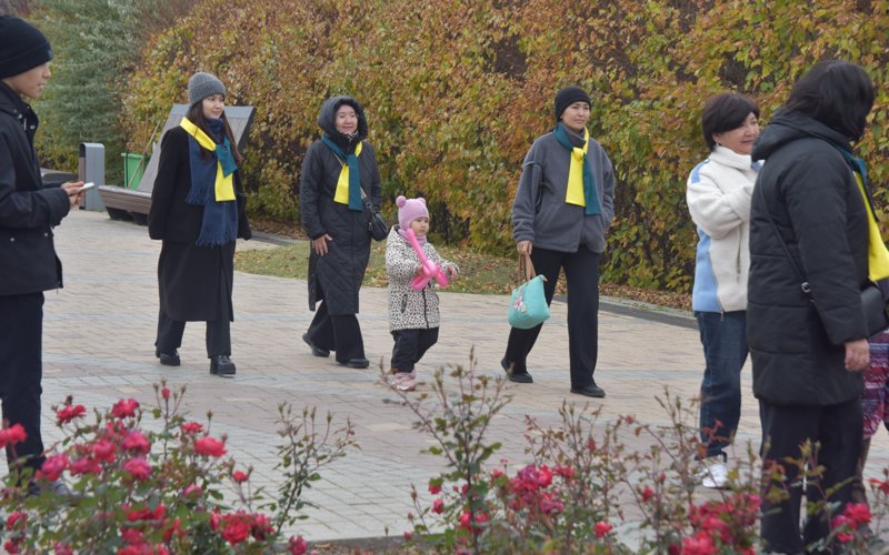 алма фестивалі