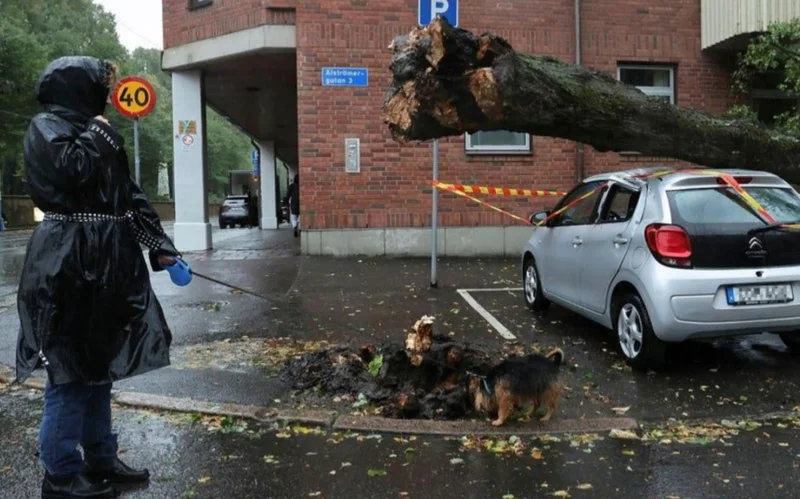 «Эми» дауылы Швецияға келіп жетті