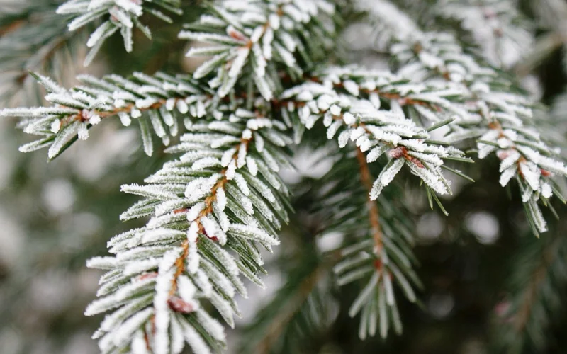 Қар, үсік, тұман: еліміздің 11 аймағында дауылды ескерту жарияланды