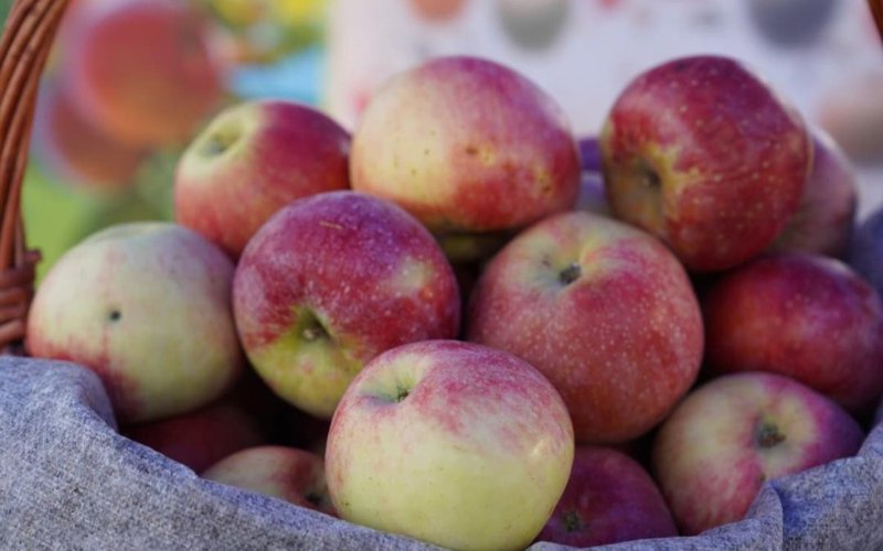 В Казахстане почти 29 тысяч га яблоневых садов — Минсельхоз