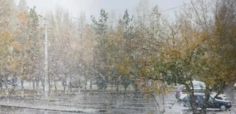 snow, autumn