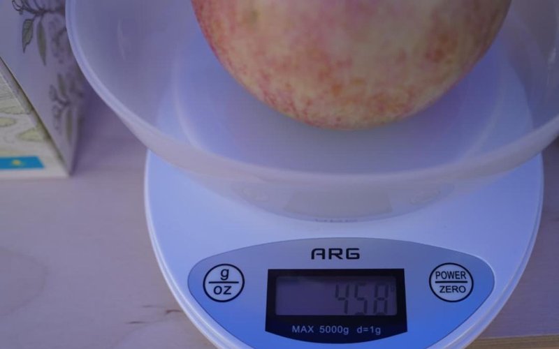 В Казахстане почти 29 тысяч га яблоневых садов — Минсельхоз