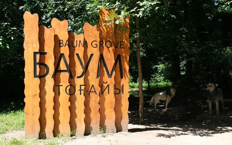 Информацию о массовой вырубке деревьев в роще Баума опровергли в акимате Алматы