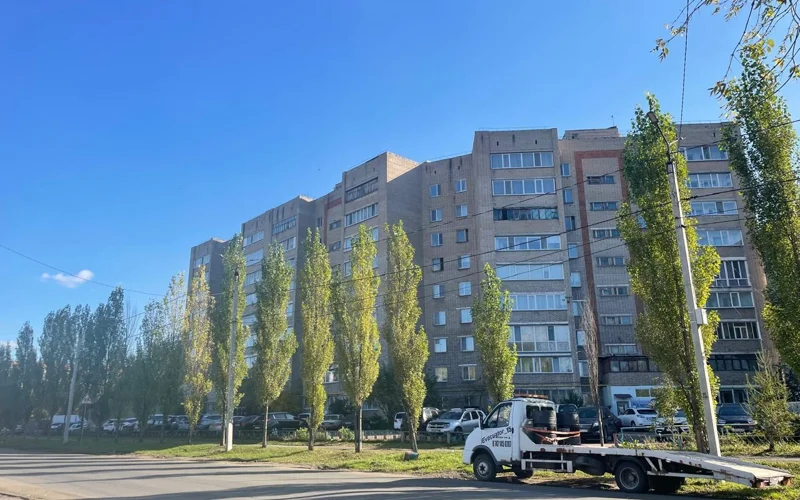 Петропавл-Камчатскийдегі жезөкше телефон нөмірлері