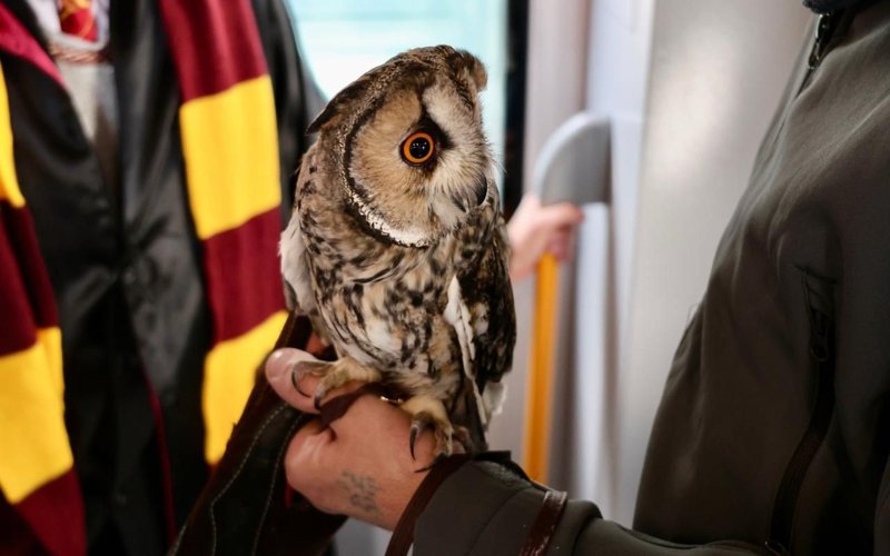 Более 300 человек стали пассажирами первого «Поезда Поттера» в Казахстане