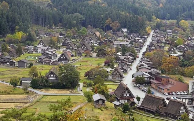 Bear cub attacks tourist in central Japan