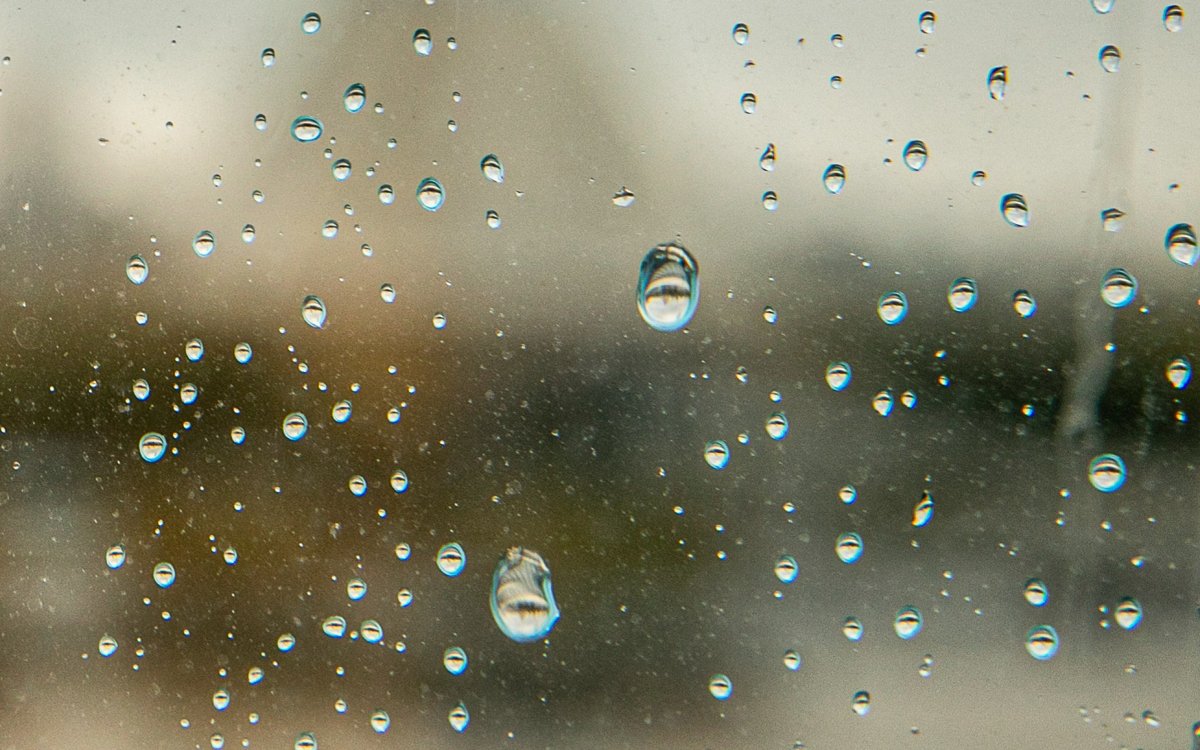 Алдағы күндері жауын-шашынды болады