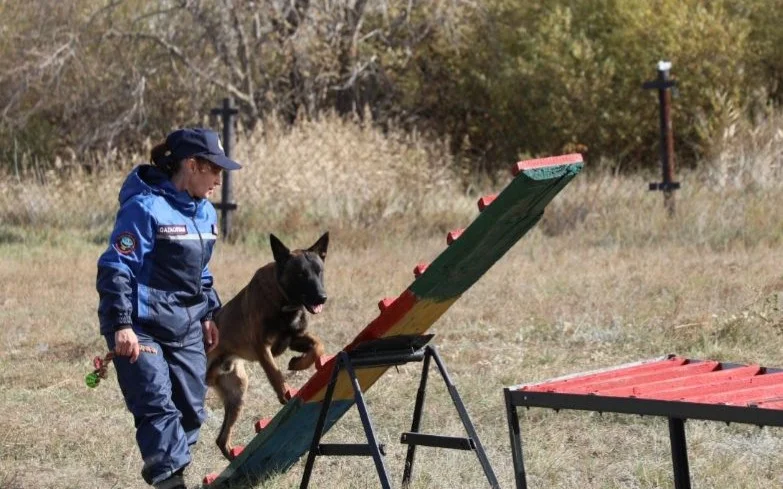 Орыс қорлау порно видео Айшвария Райдың үнділік порно видеолары