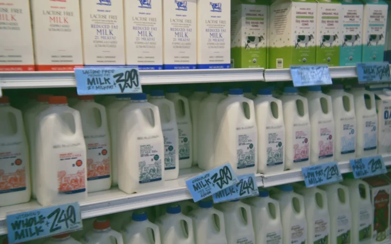 India maintains global leadership in milk production with sustained growth