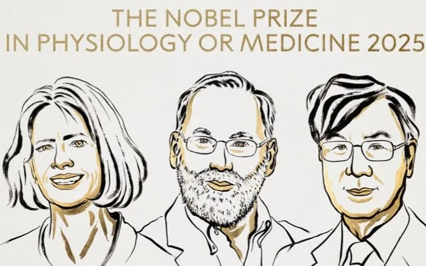 Нобелевскую премию по физиологии и медицине присудили за исследования иммунитета