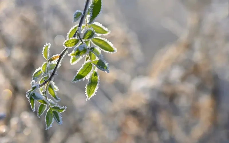North of Kazakhstan to brace for rain and snow on Monday