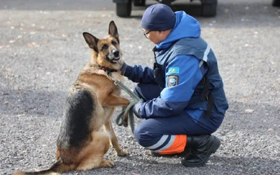 Ит стиліндегі фотоға қарап тұрған қаншықтар Ит стиліндегі фотоға қарап тұрған қаншықтар