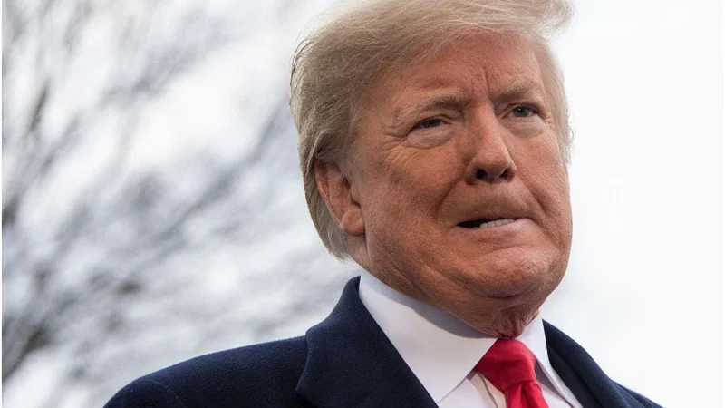 Трамп может применить Закон о мятеже