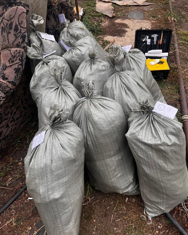 Хозяйственную теплицу замаскировали под наркоплантацию в Костанайской области Хозяйственную теплицу замаскировали под наркоплантацию в Костанайской области