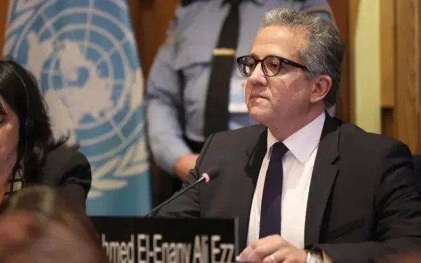 Khaled El-Enany nominated by UNESCO’s Executive Board for Director-General's post