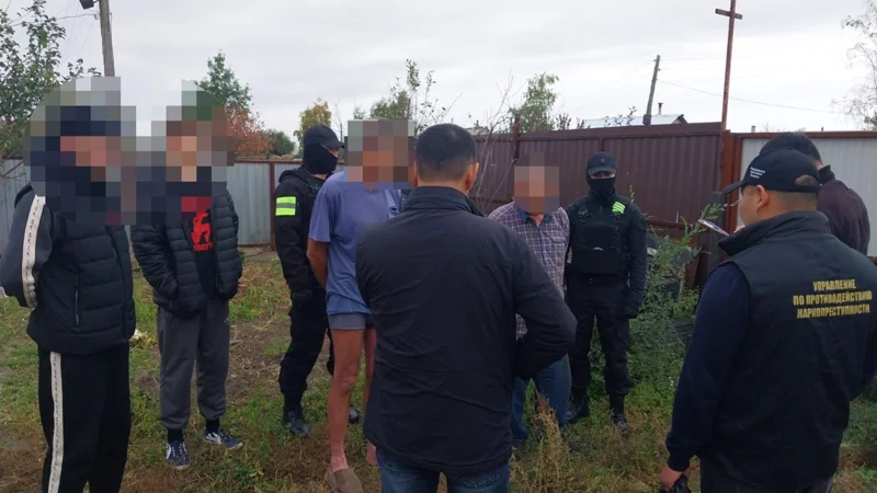 Хозяйственную теплицу замаскировали под наркоплантацию в Костанайской области