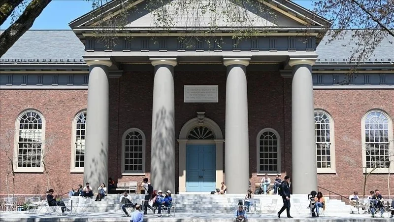 US sees 19% drop in international student arrivals, marking largest outside pandemic: Report