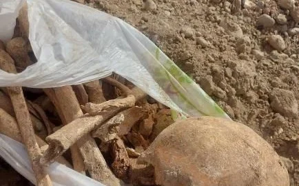 В Шымкенте на парковке обнаружены человеческие останки