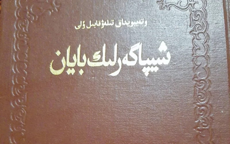 Шипагерлік баян