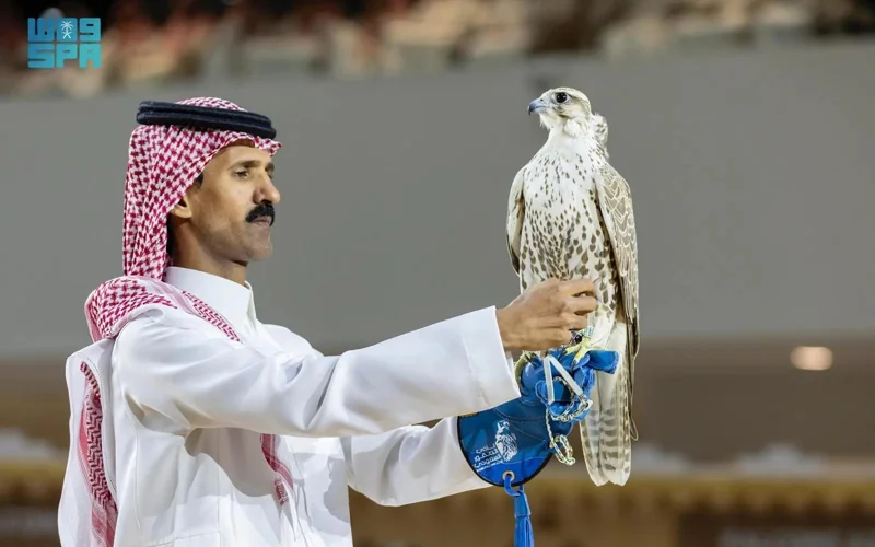 Mongolian Falcons Sell for SAR900,000 at Saudi Falcons Exhibition