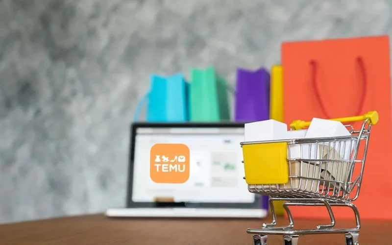В Германии возбудили дело против китайской онлайн-площадки Temu