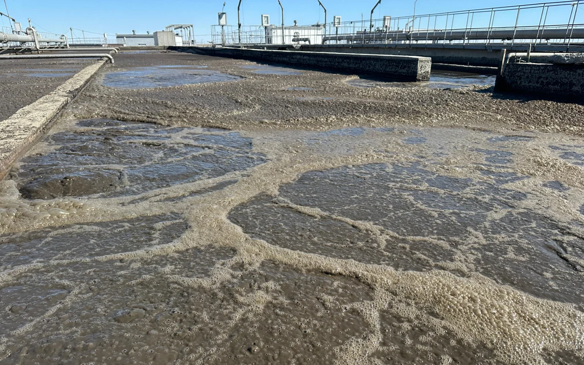 Үйдегі аналардың порно видеолары