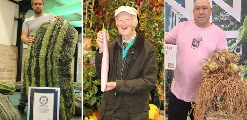 алып көкөністер