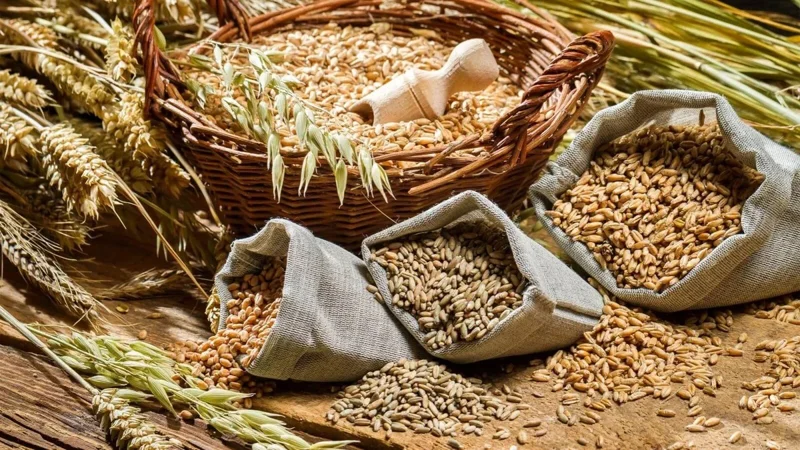 grain