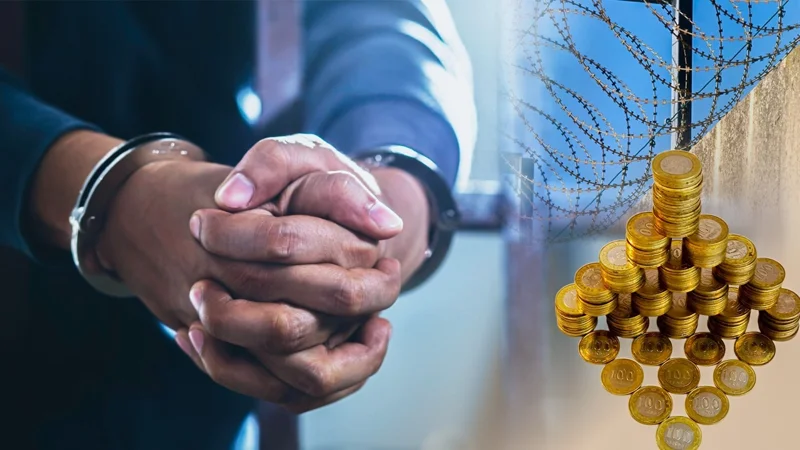 Правда в деталях