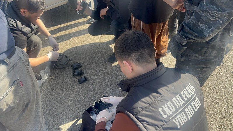 SQO-da bıyl on fıtoesirtki zertthanasy joıyldy SQO-da bıyl on fıtoesirtki zertthanasy joıyldy