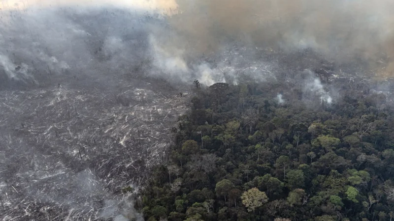 Amazon faces worst fire season in 20 years, releasing 791M tons of carbon dioxide