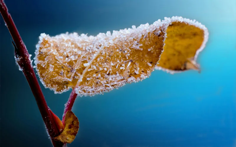 Осадки и заморозки прогнозируют в Казахстане 11 октября