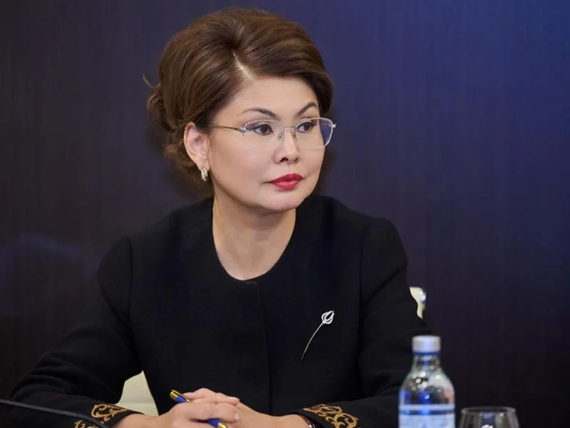 Аида Балаева, заседание подкомиссии по культурно-гуманитарному сотрудничеству