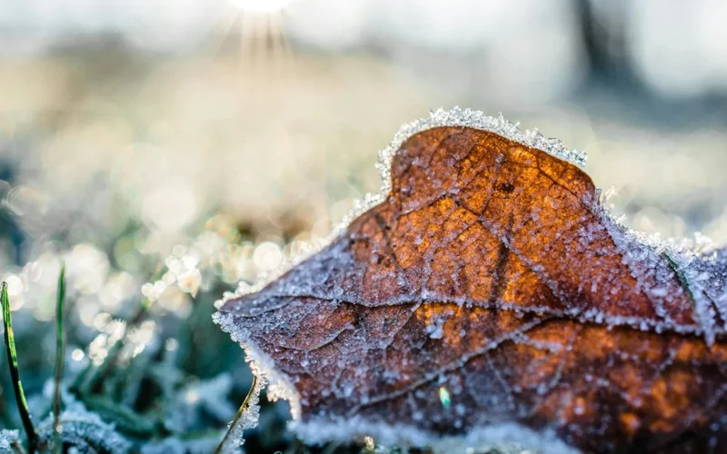 Kazakhstan to brace for cold anti-cyclone Oct 10