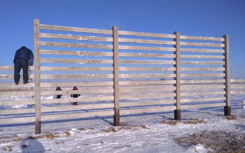 снегозадержание