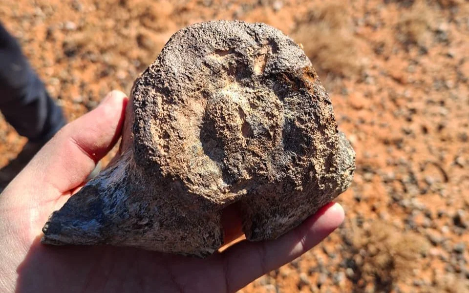 Әдемі кино және фильмдердегі секс