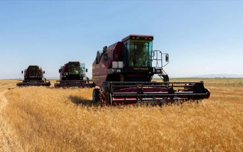 Kazakhstan harvests 22.7 mln tons of grain