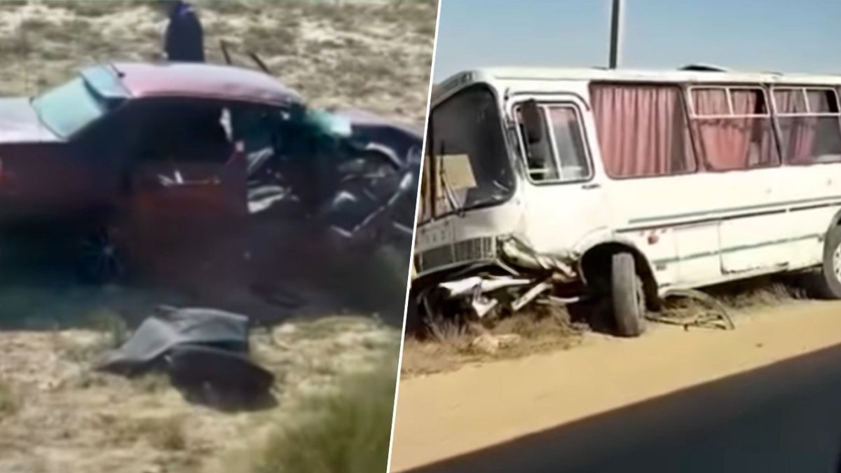 Масяня порно мультфильмде