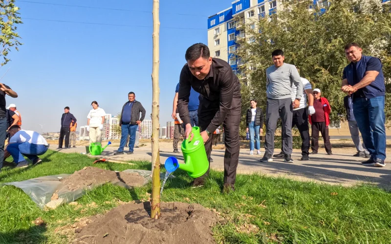 посадка деревьев аким шымкента