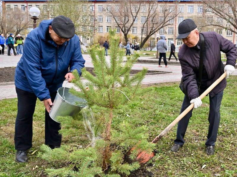 Более 120 тысяч саженцев посадили в СКО в рамках «Таза Қазақстан» Более 120 тысяч саженцев посадили в СКО в рамках «Таза Қазақстан»