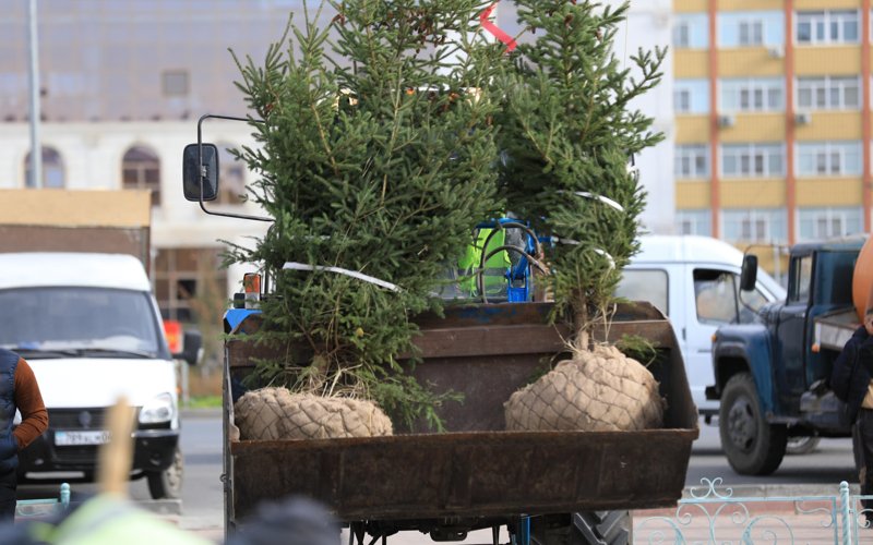 В рамках акции «Таза Қазақстан» в Актюбинской области было высажено около 7300 саженцев